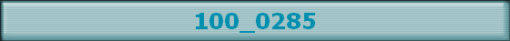 100_0285