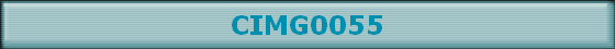 CIMG0055