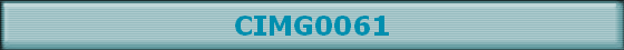 CIMG0061