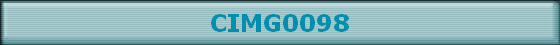 CIMG0098