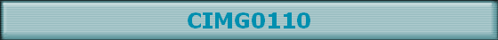 CIMG0110