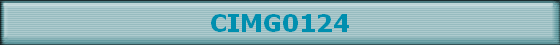 CIMG0124