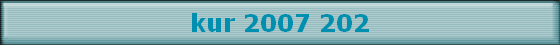 kur 2007 202